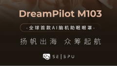 这家草创公司已展示出成为平台型科技企业的 