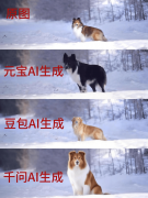 测验考试将菌菇拍摄的宠物照片别离“投喂”给 